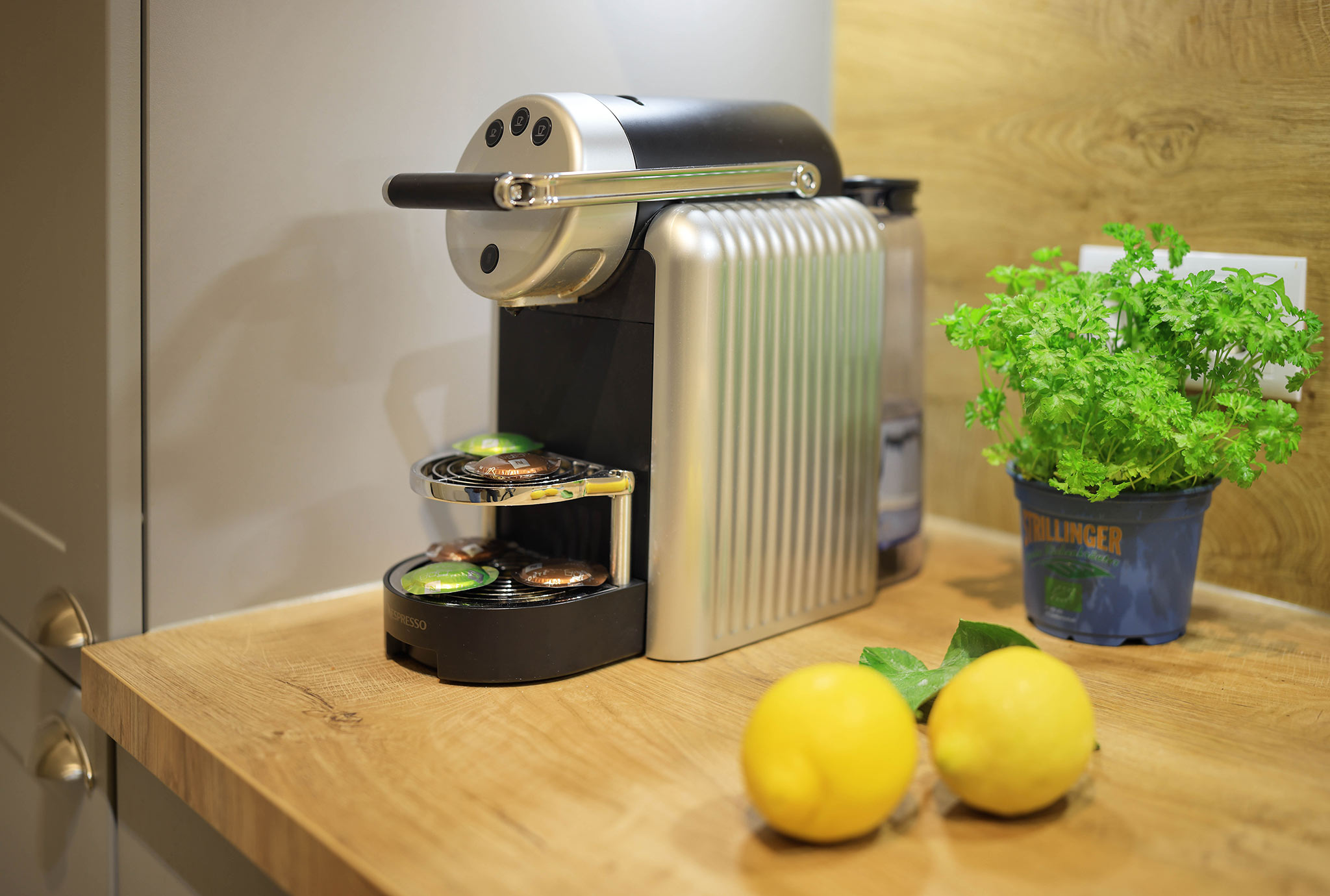 1-Bedroom Suite mit Klimaanlage