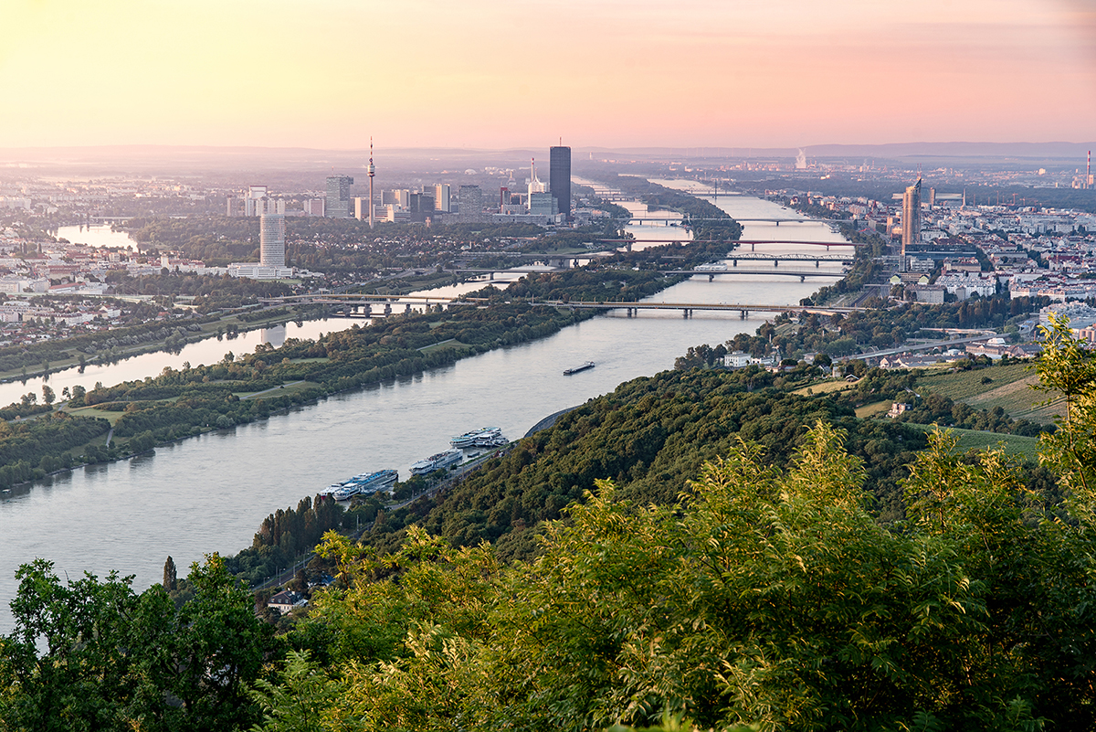 Summer in Vienna: Rooftops, Danube & Open-Air Culture
